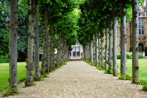 Real Estate and Global Mobility: International Property Ownership Trends