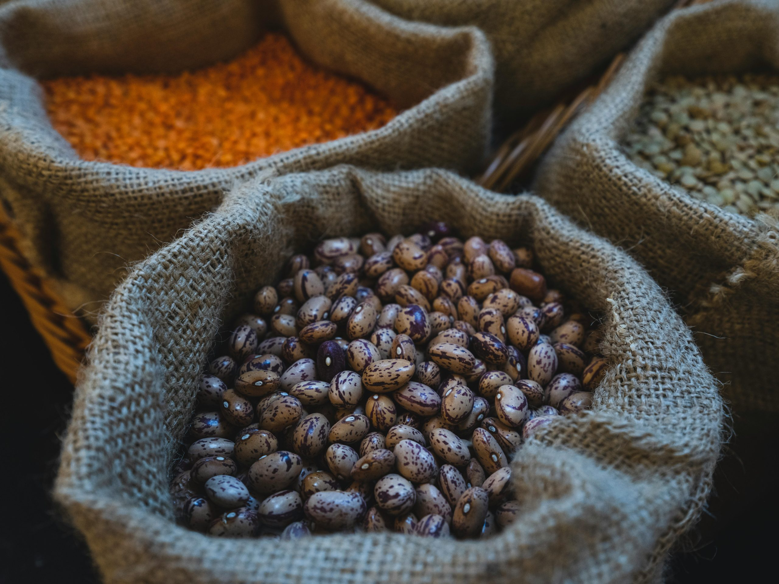 The Evolution of Grocery Shopping: From Markets to Meal Kits