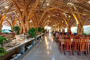 Sustainable Gourmet: The Rise of Eco-Conscious Fine Dining