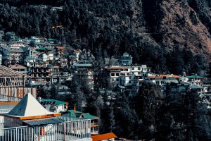 Vacations for Different Interests: Tailoring Trips to Personal Passions