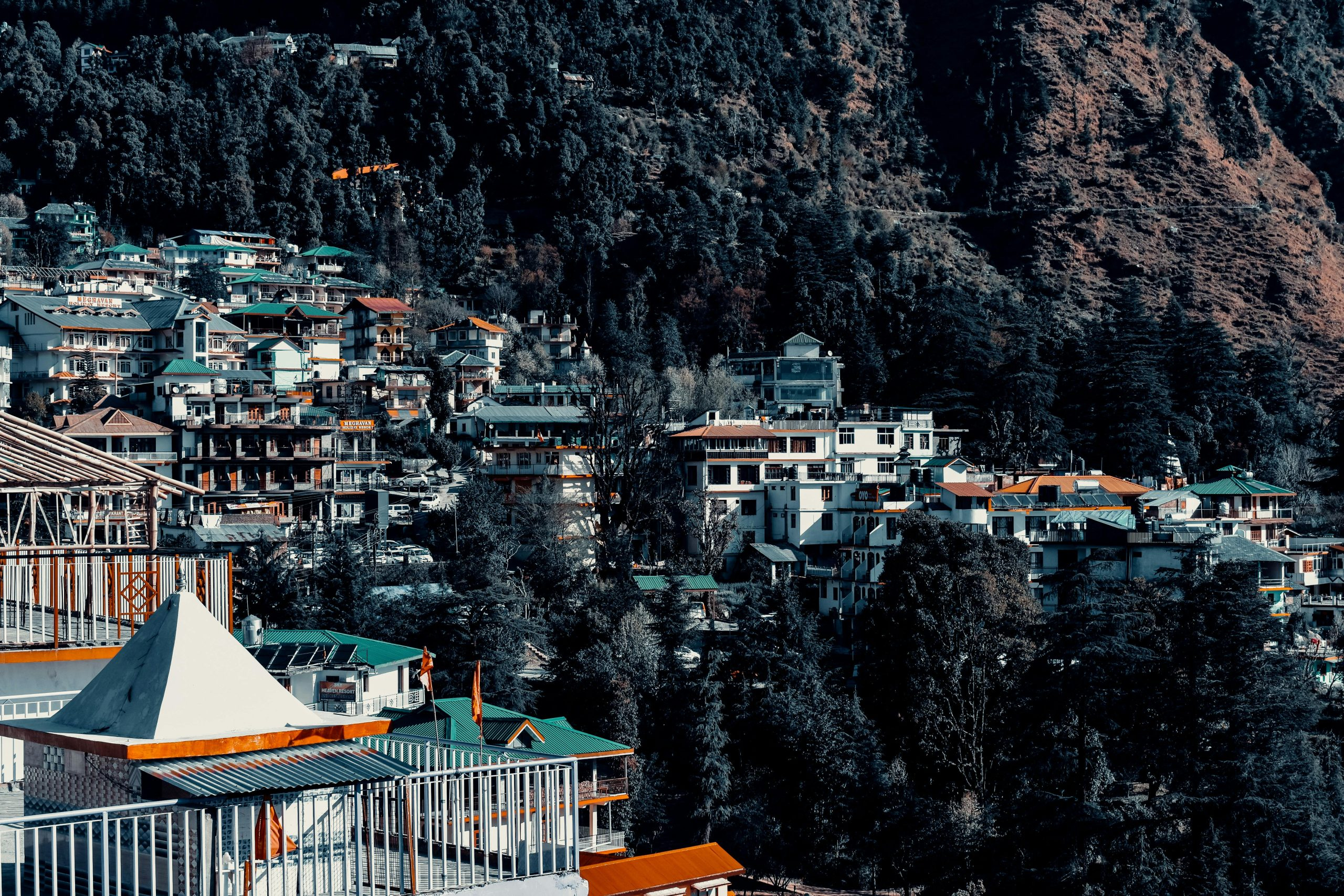 Vacations for Different Interests: Tailoring Trips to Personal Passions