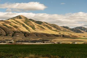 Housing and Personal Growth: How Our Environments Shape Us