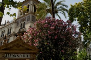 Vacations and Cultural Shifts: How Changing Values Affect Travel Styles
